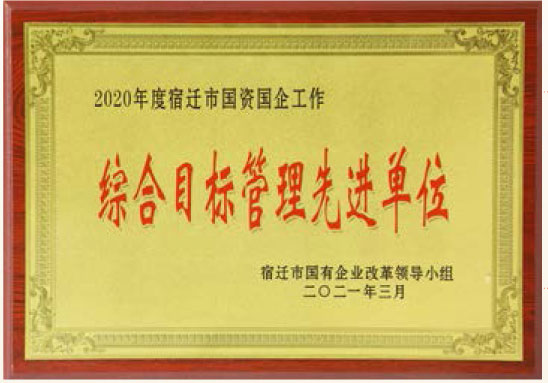 2020年度宿遷市國資國企工作綜合目標(biāo)管理先進單位